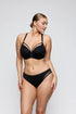 PrimaDonna Twist Sheary Rio Briefs