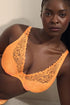 PrimaDonna Twist Rupi Half Padded Plunge Bra