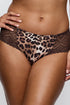 PrimaDonna Twist Giganni Hotpants