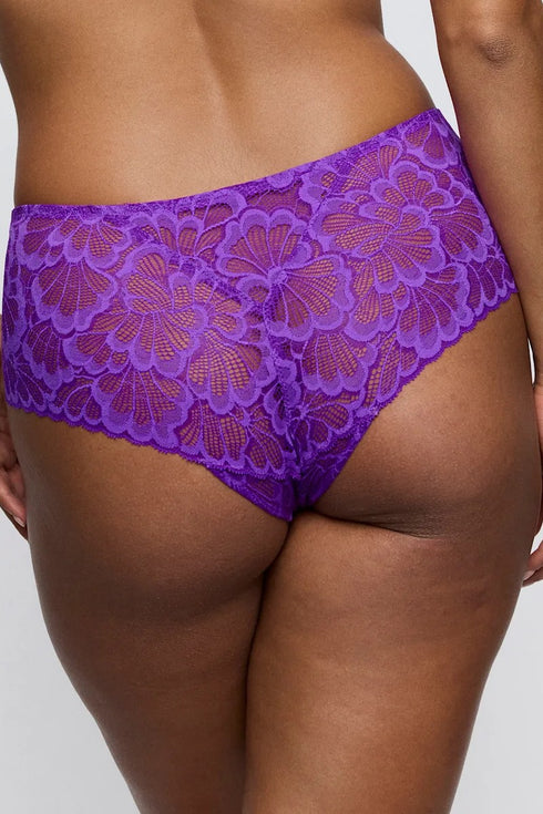 PrimaDonna Twist Mocuto Hotpants
