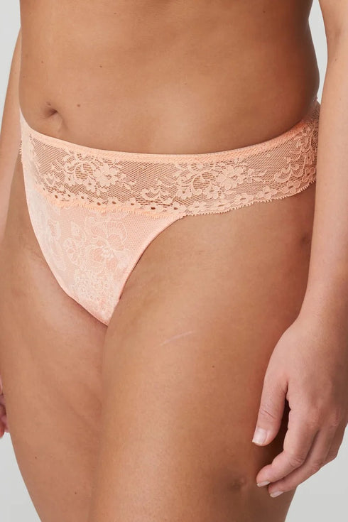 PrimaDonna Twist Playa Amor Thong