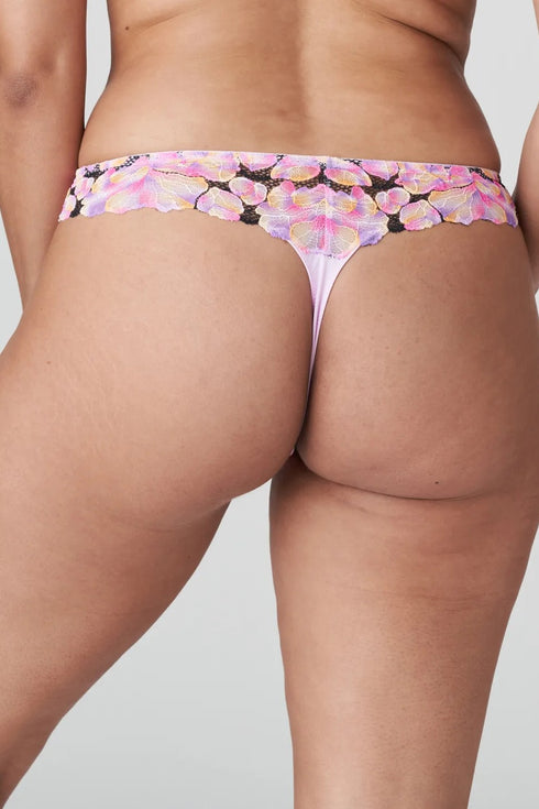 PrimaDonna Twist Via Alegre Thong