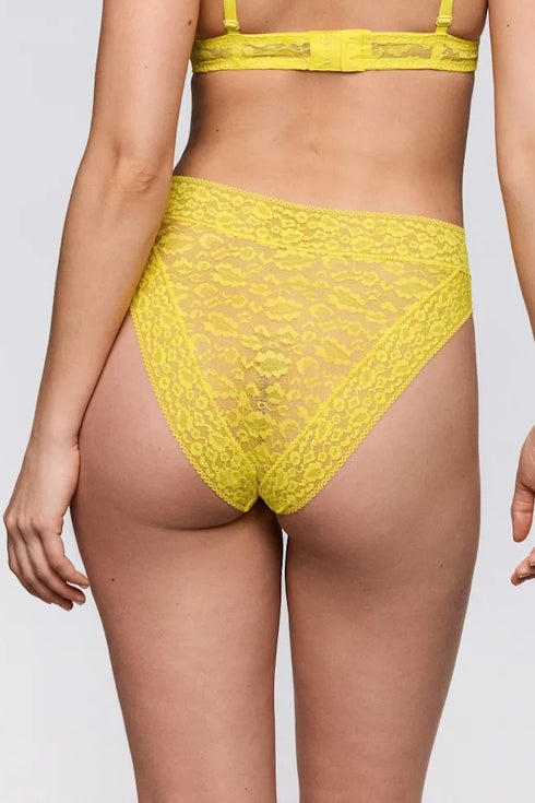 Sarda Cid Full Briefs