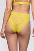 Sarda Cid Full Briefs