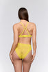 Sarda Cid Full Briefs