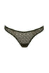 Sarda Asin Italian Briefs
