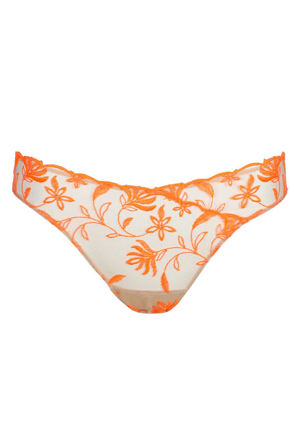 Sarda Shay Rio Briefs