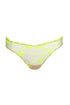 Sarda Shay Rio Briefs
