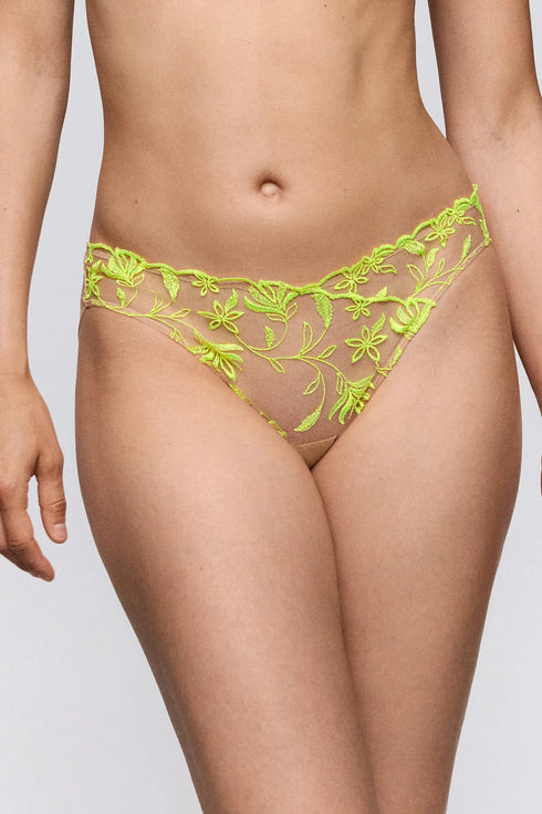 Sarda Shay Rio Briefs