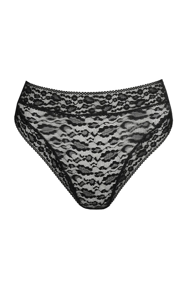 Sarda Cid Full Briefs