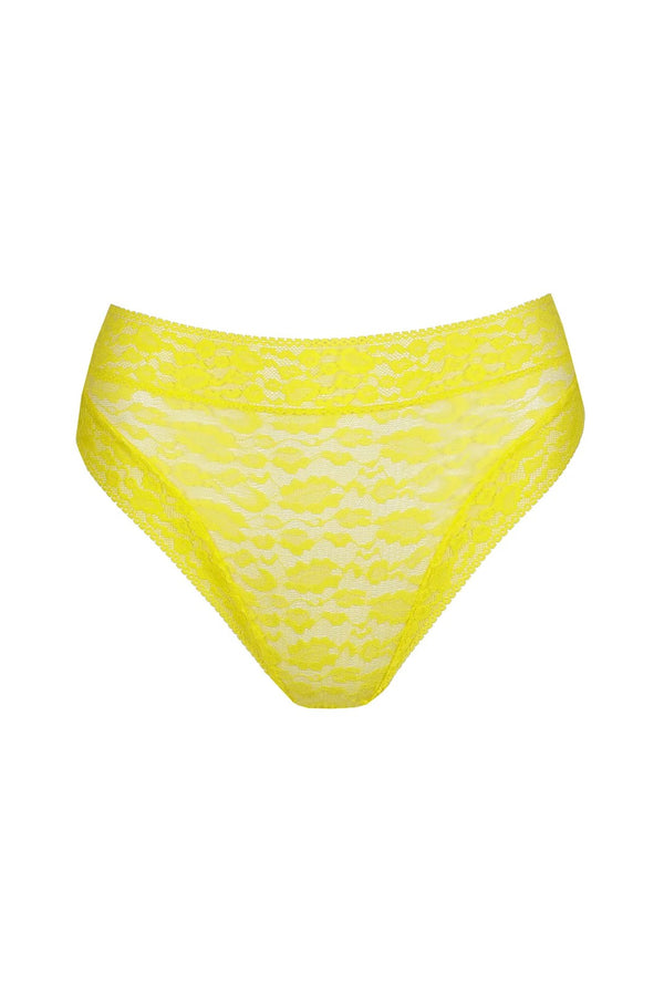Sarda Cid Full Briefs