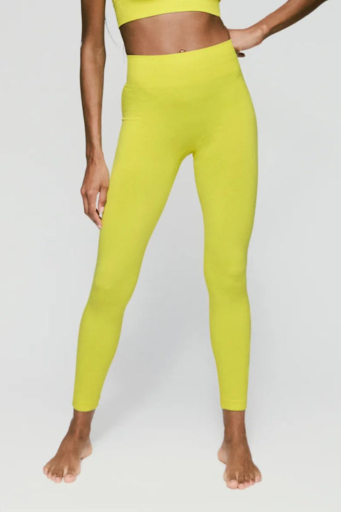 Sarda Perry Legging