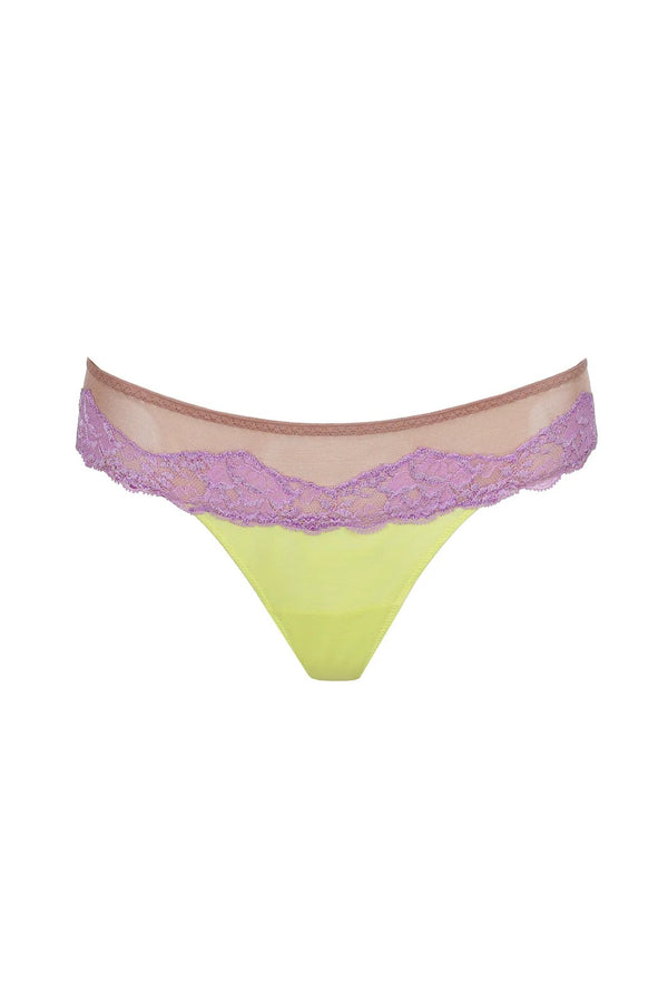Sarda Bremer Thong