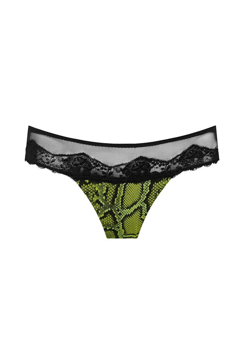 Sarda Bremer Thong
