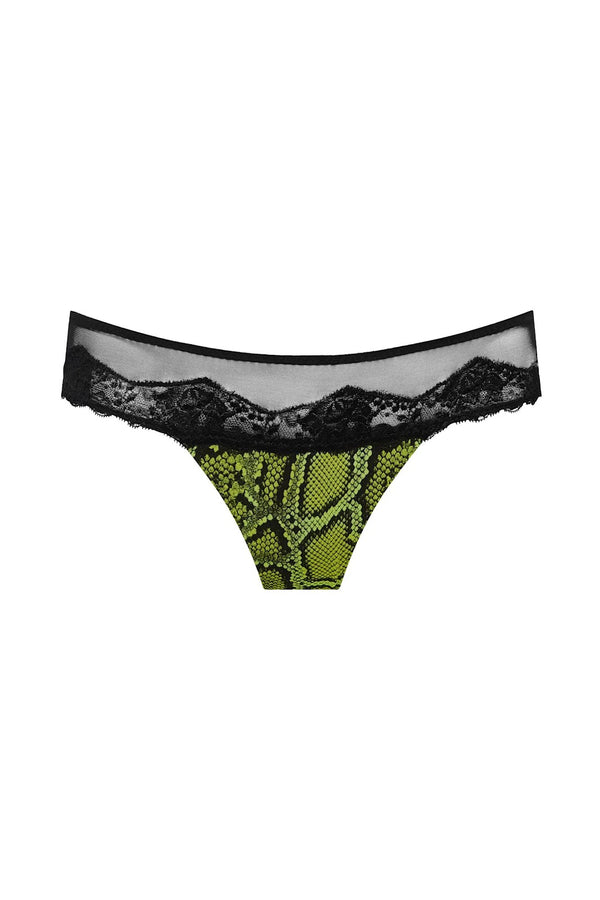 Sarda Bremer Thong