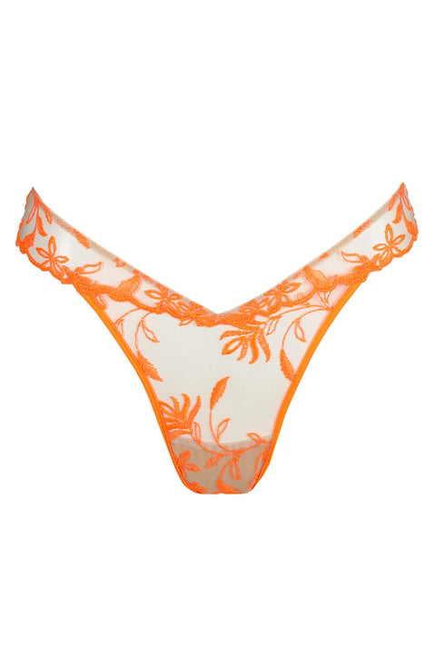Sarda Shay Thong