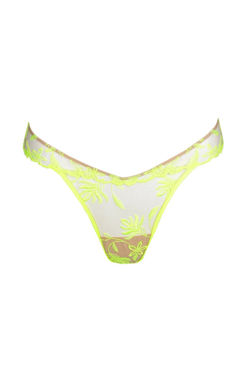 Sarda Shay Thong