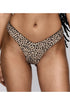 Sarda Pryce Bikini Briefs Brazilian