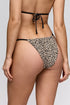 Sarda Pryce Bikini Briefs Special