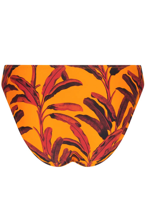 Antigel B59 La Melanesia Seduction Bikini High