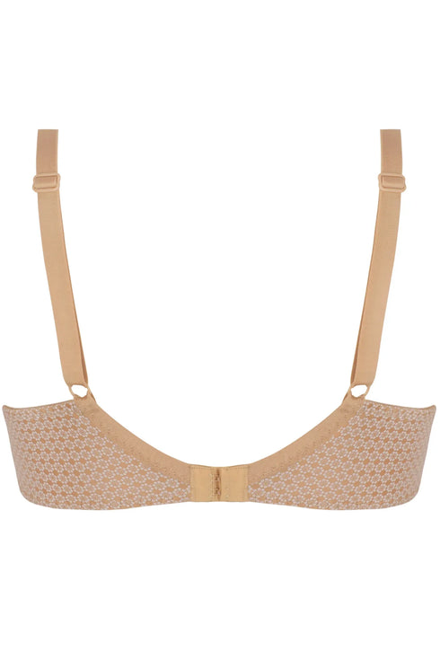 Antigel H55 Daily Paillette Contour