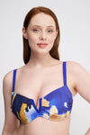 Shan Classique Classic V-Wire Bikini Top