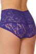 Hanky Panky Retro Retro Lace V-Kini