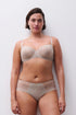 Chantelle Origins Lace Hipster