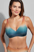 Empreinte Aura Bikini Top