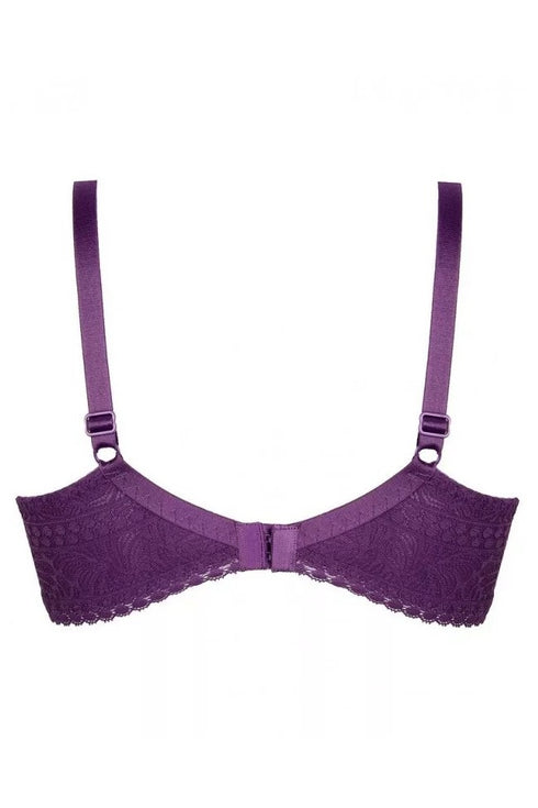 Antigel Atelier Seduction Contour