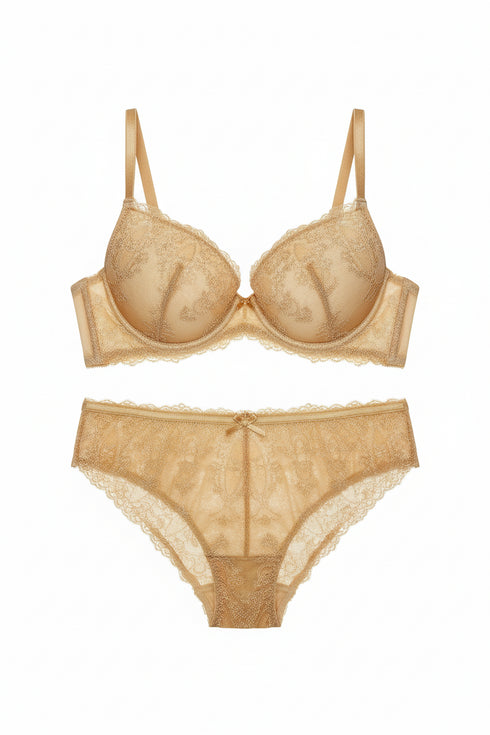 Ambra Brief