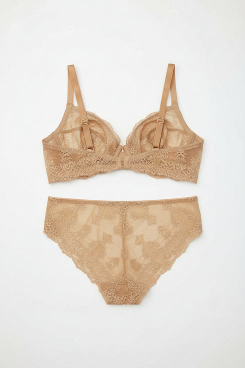 Ambra Brief