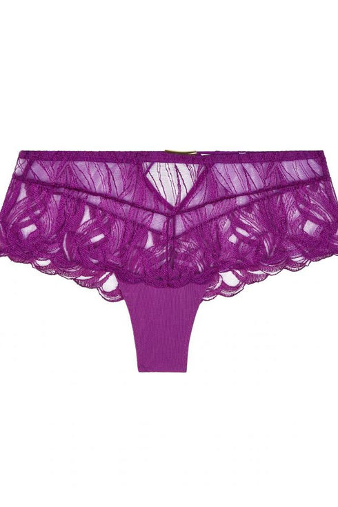 Aubade Into The Groove Shorty