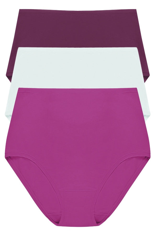 Natori Bliss Bare Cotton High Waist Brief 3-pack