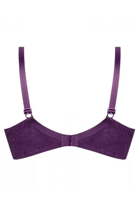 Antigel Atelier Seduction 3 Parts Full Cup