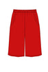 Shan Lycra LYCRA SHORTS