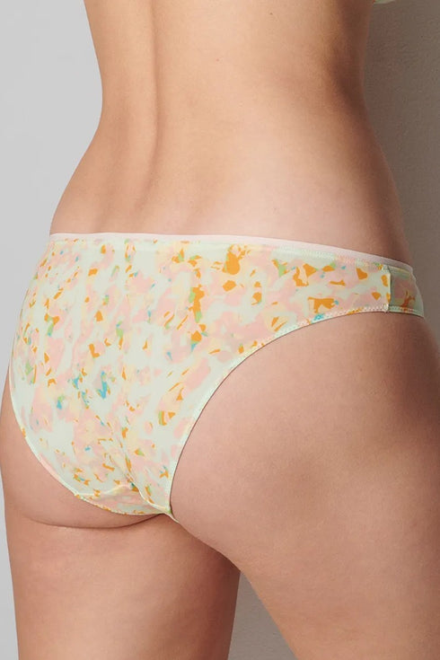 Simone Perele 1B5 Charlotte Brief