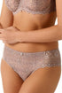 Empreinte Cassiopee Brief