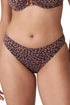 PrimaDonna Punta Rata Bikini Briefs Rio