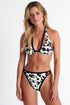 Shan Lycra High cut bikini bottom