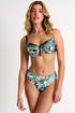 Shan Classique Mid-high waist bikini bottom