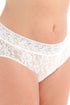 Hanky Panky Signature Lace Plus Size French Brief