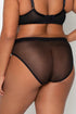 Curvy Couture Mesh High Cut Brief