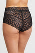 Montelle Lacy High Waist Brief