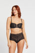 Montelle Lacy High Waist Brief