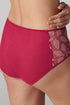 Simone Perele 14V Dahlia Retro Brief