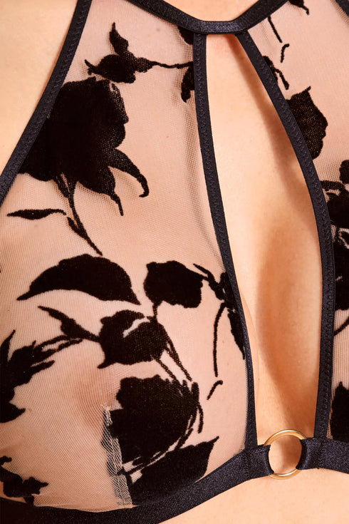 Aubade Boites A Desir Belle de Nuit Set