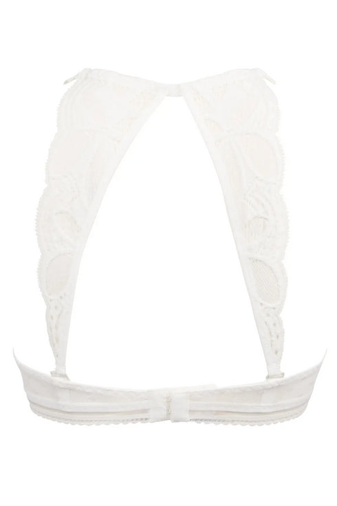 Antigel H17 Stricto Sensuelle Contour W/Progressive Pad