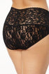 Hanky Panky Retro Lace Plus Size V-Kini