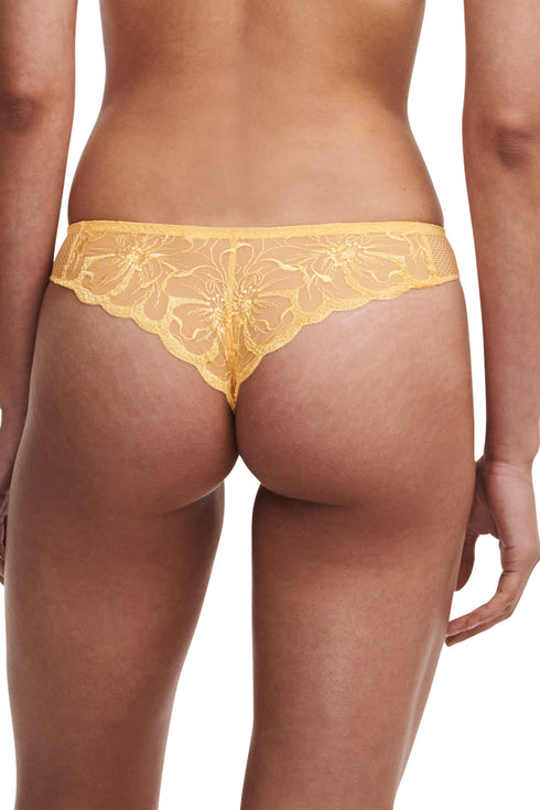 Chantelle Fleurs Tanga